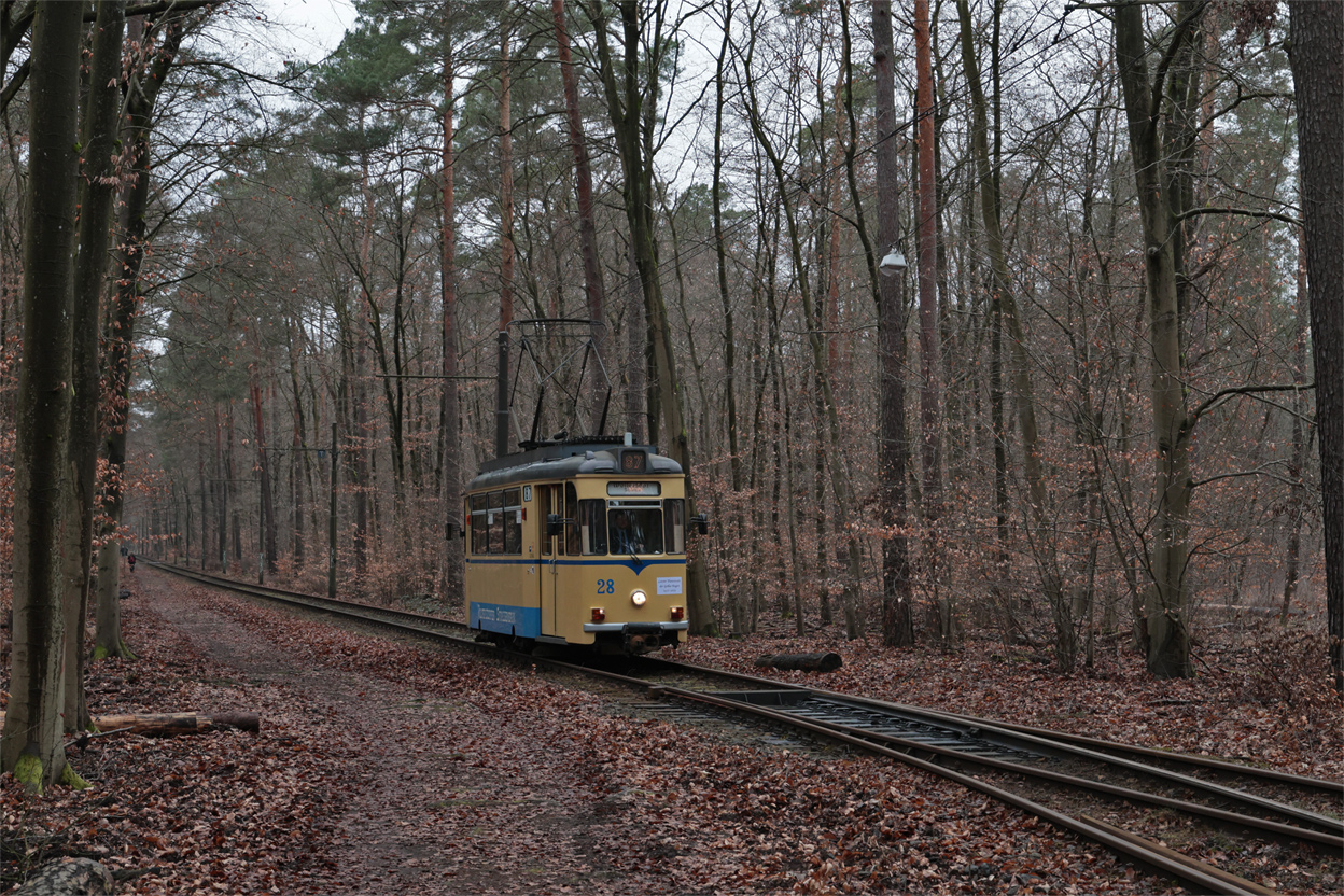 Вольтерсдорф, Gotha T57 № 28; Вольтерсдорф — Официальное прощание с вагонами Гота в регулярной эксплуатации (01.03.2025)