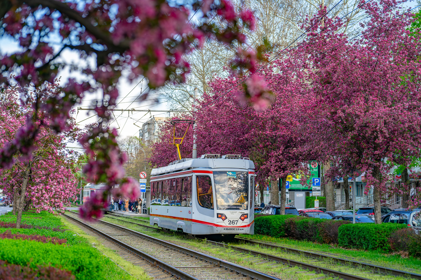 Краснодар, 71-623-04 № 267