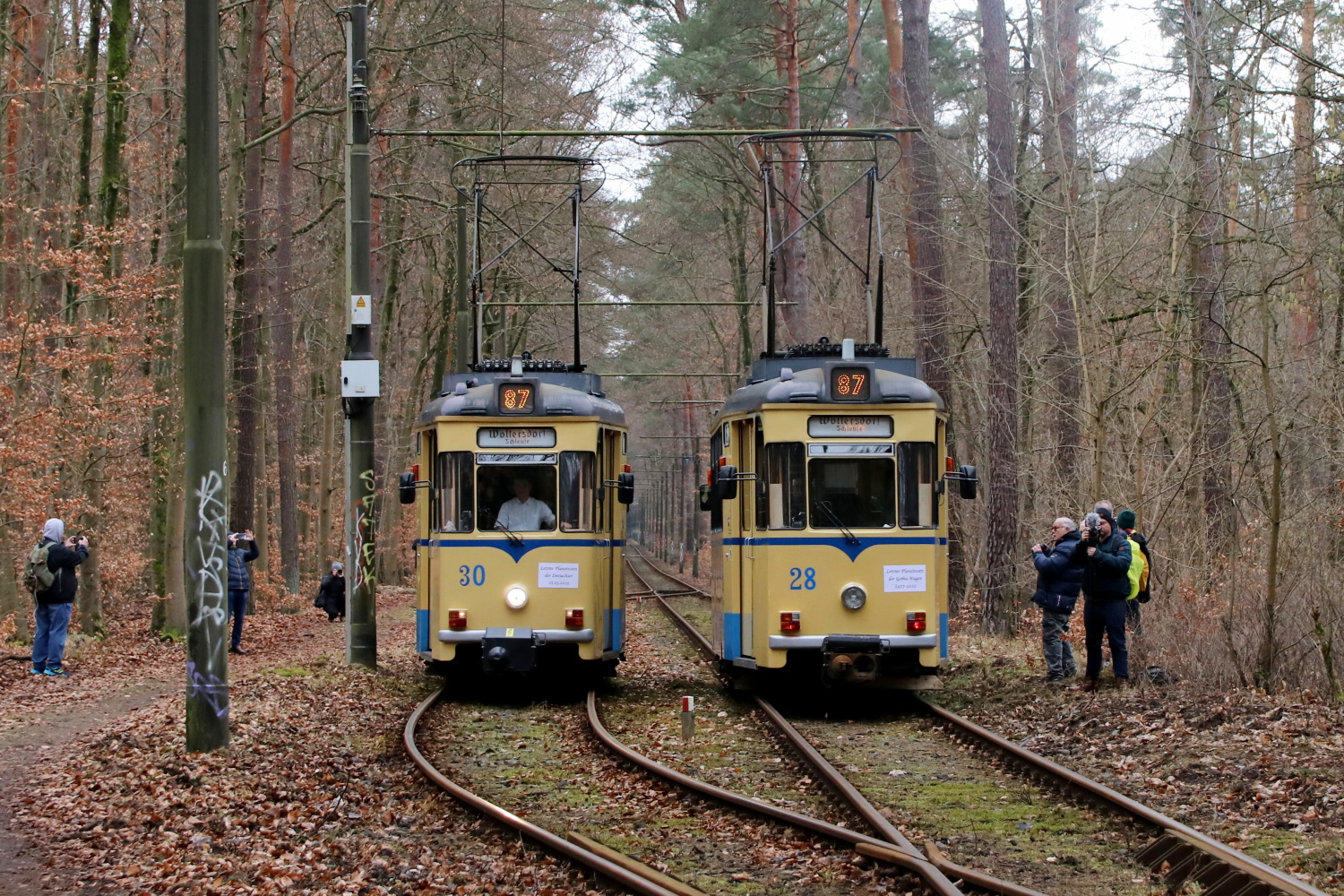 Вольтерсдорф, Gotha T57 № 30; Вольтерсдорф, Gotha T57 № 28; Вольтерсдорф — Официальное прощание с вагонами Гота в регулярной эксплуатации (01.03.2025)