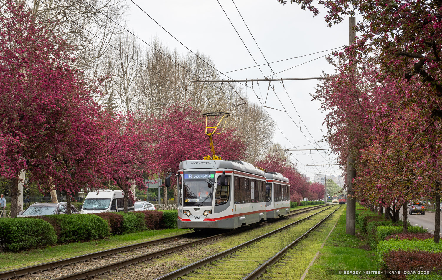 Краснодар, 71-623-04 № 393