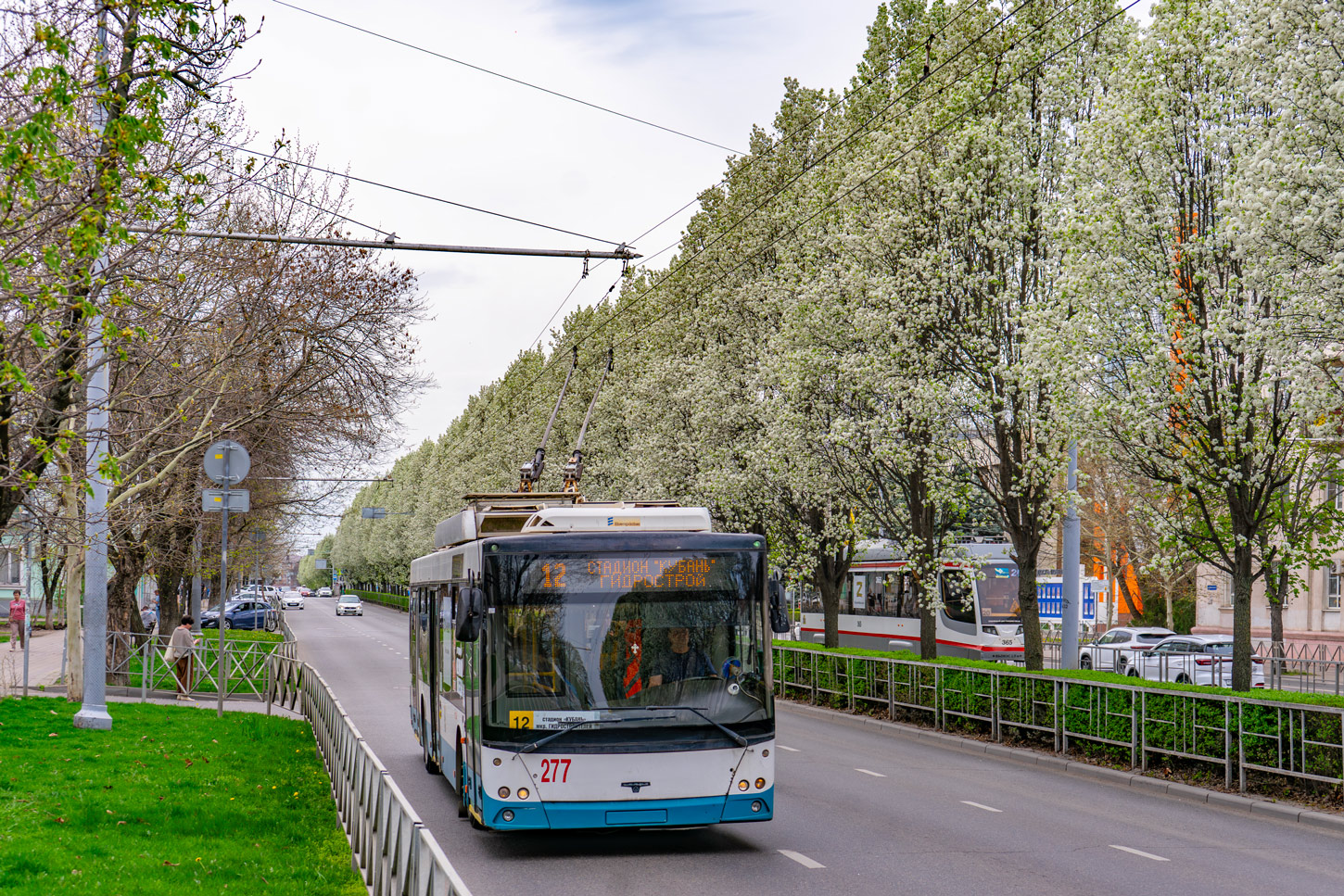 Краснодар, СВАРЗ-МАЗ-6275 № 277