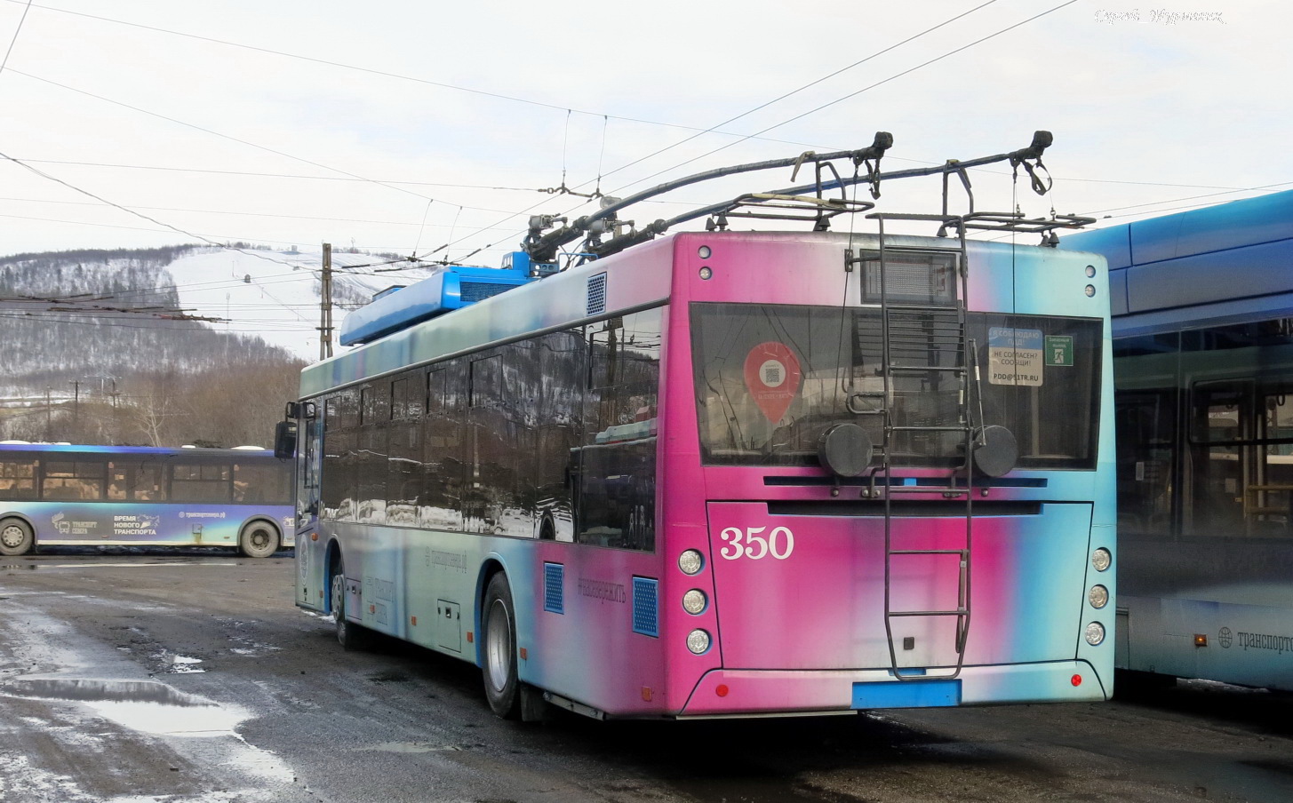 Мурманск, МАЗ-203Т20 № 350