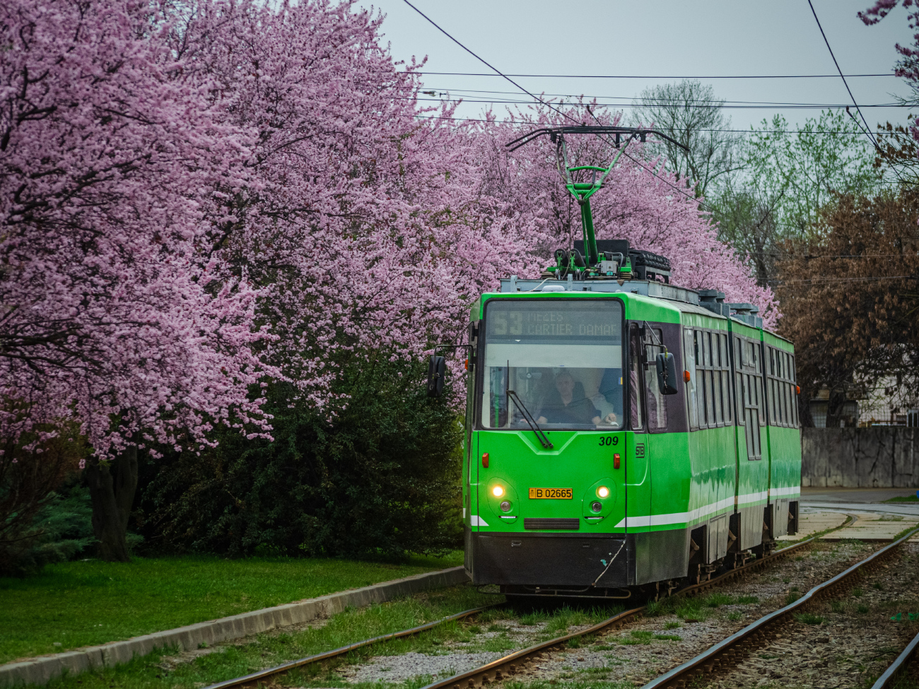 Bucharest - Ilfov, URAC V3A-93-PPC-FAPS № 309