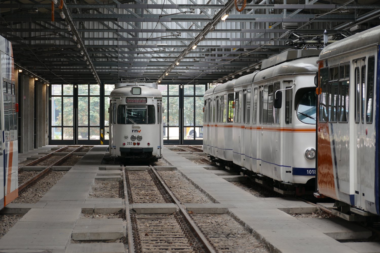 Rhein-Neckar, Duewag GT8 # 202 Rhein-Neckar, Duewag GT8 # 202