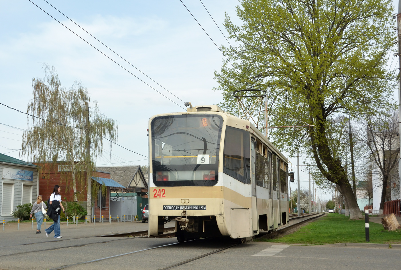 Краснодар, 71-619КТ № 242