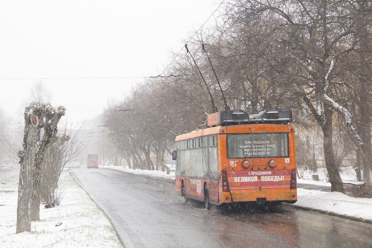 Березники, Тролза-5265.00 «Мегаполис» № 184; Березники — Разные фотографии