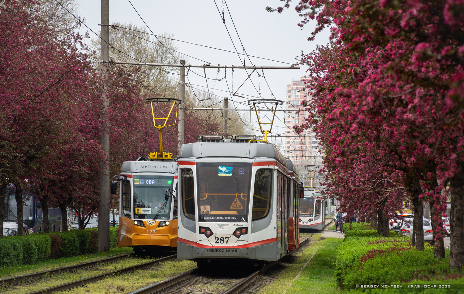 Краснодар, 71-623-04 № 287 Краснодар, 71-623-04 № 287