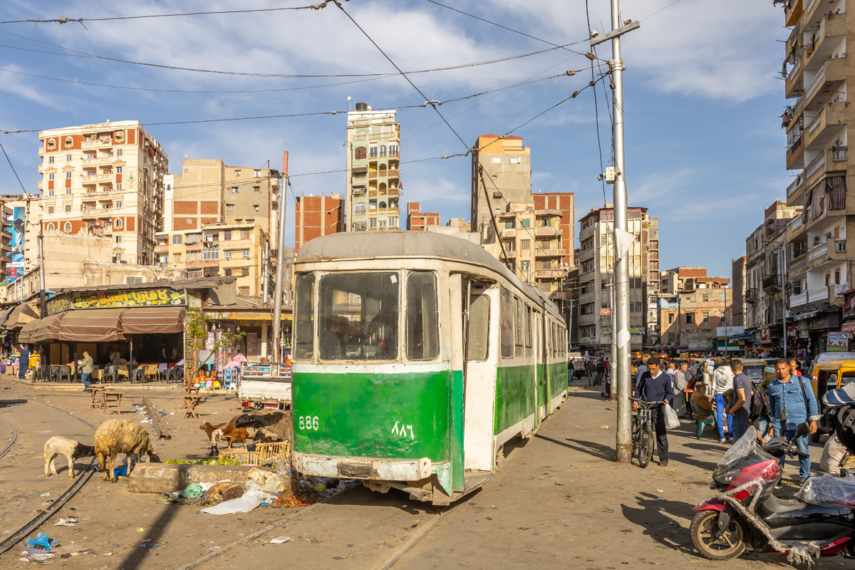 Александрия, Duewag GT6 № 886; Транспорт и животные