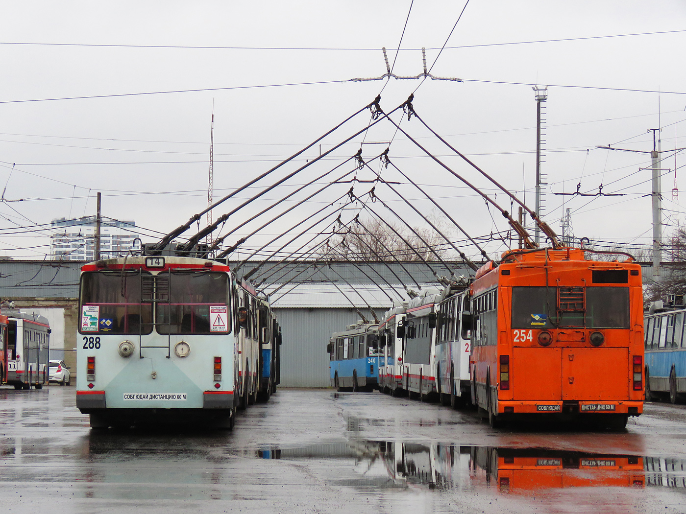Краснодар, ЗиУ-682Г-016 (012) № 288; Краснодар, Тролза-5275.07 «Оптима» № 254