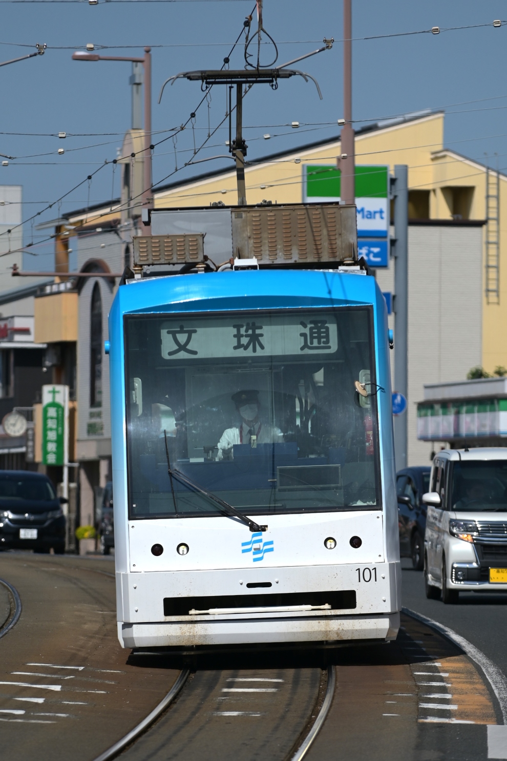 Kochi, Little Dancer L # 101