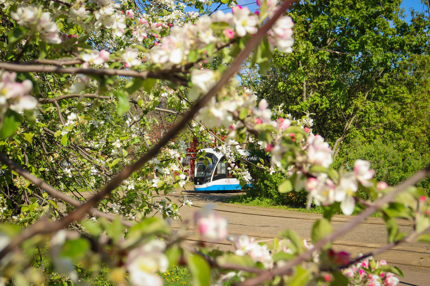 Фотозарисовки