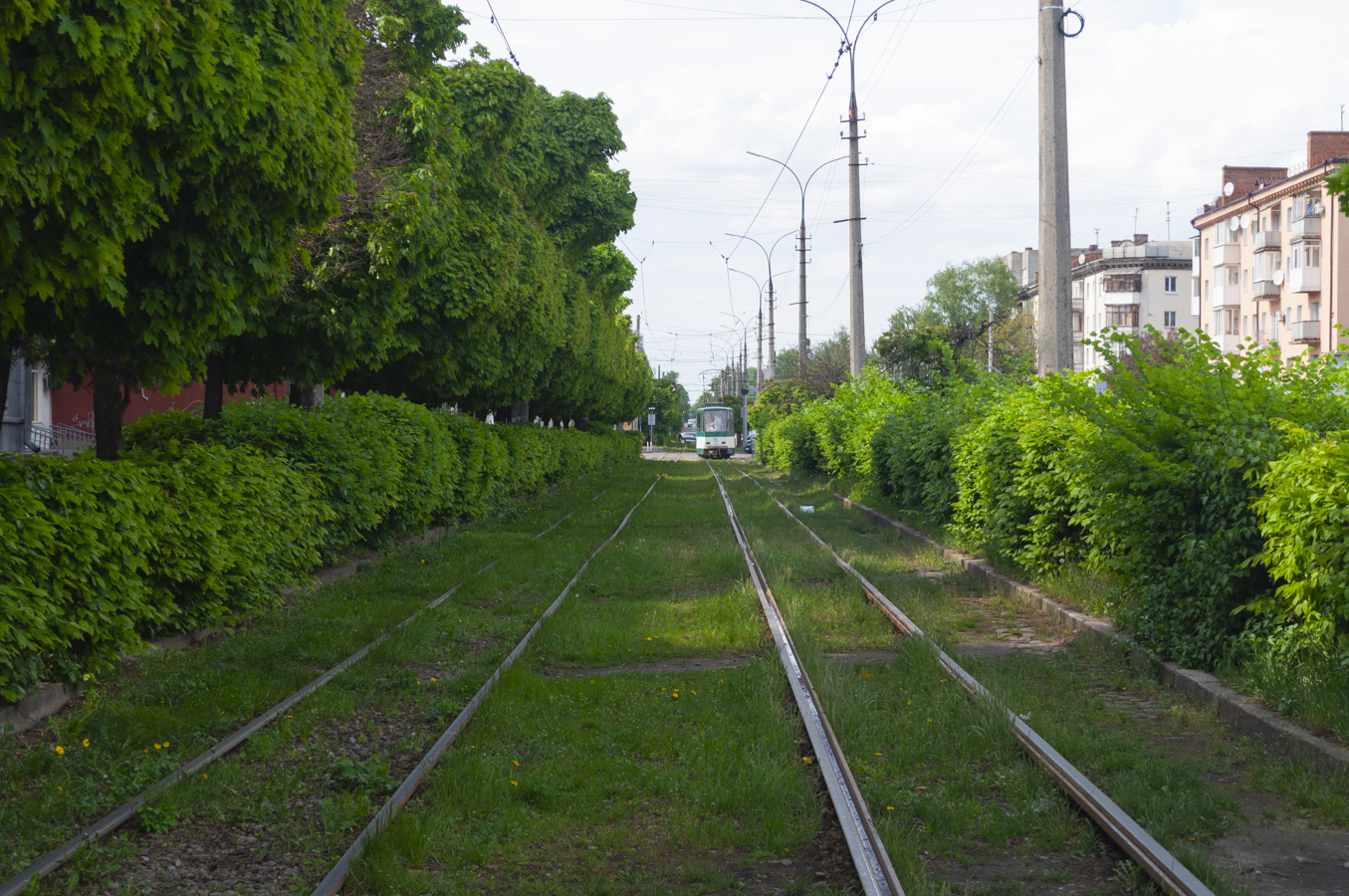 Jîtomîr — Tram and trolleybus lines