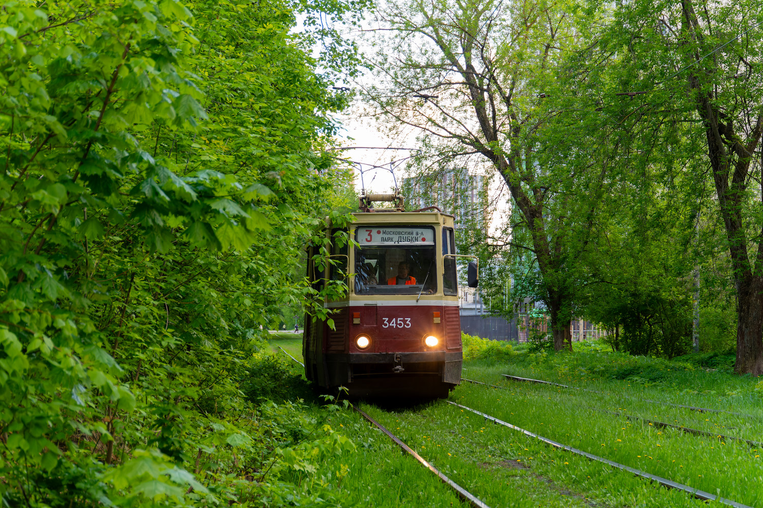 Niżny Nowogród — Tram lines