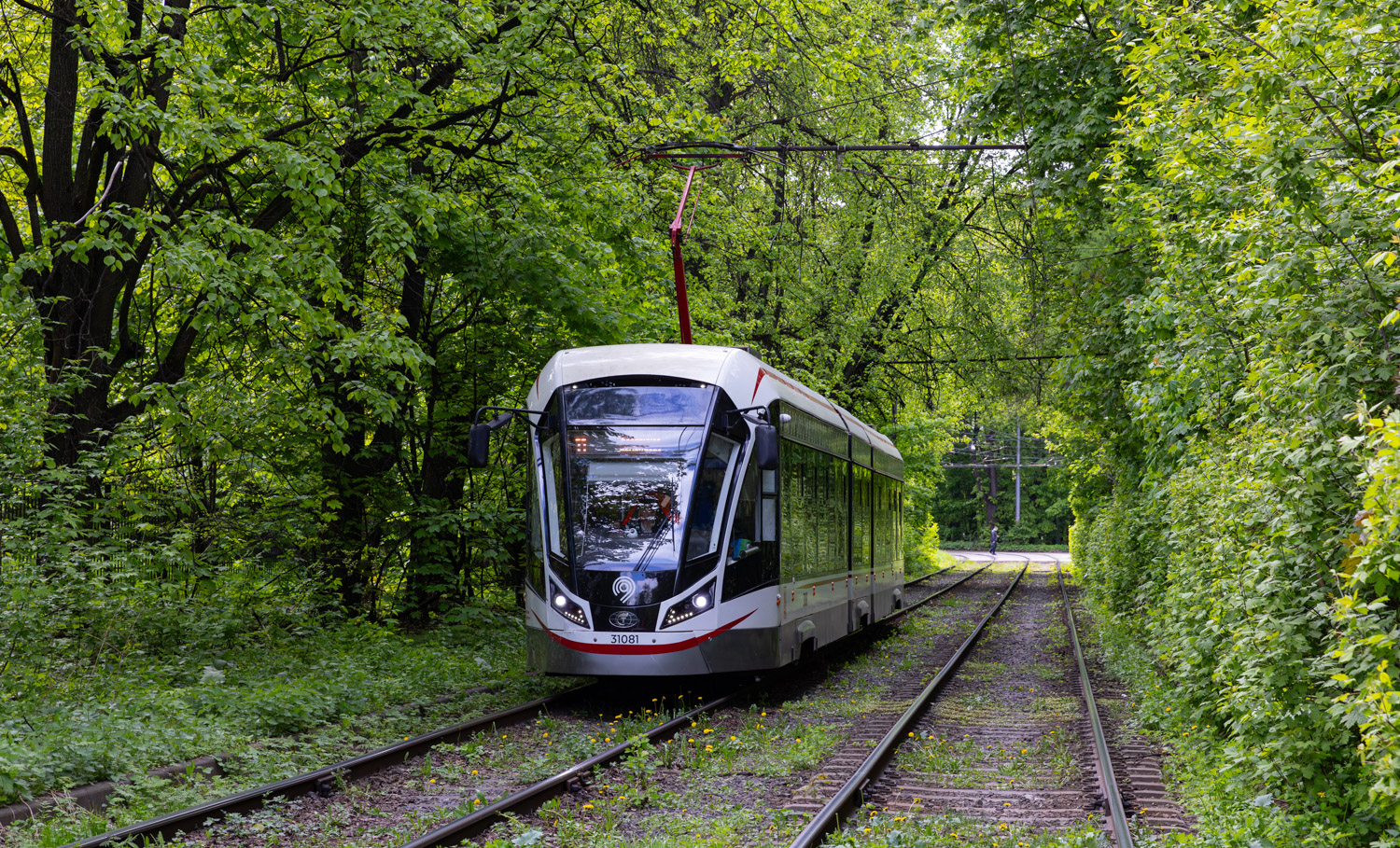 Москва, 71-931М «Витязь-М» № 31081