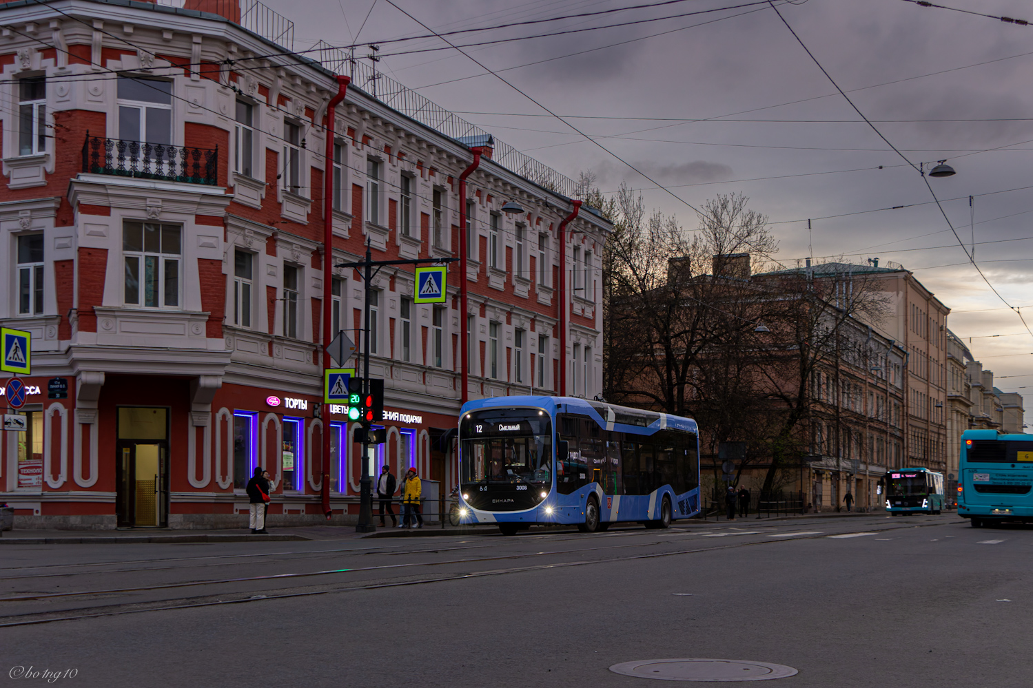 Санкт-Петербург, Синара 6254.00 № 3008 Санкт-Петербург, Синара 6254.00 № 3008