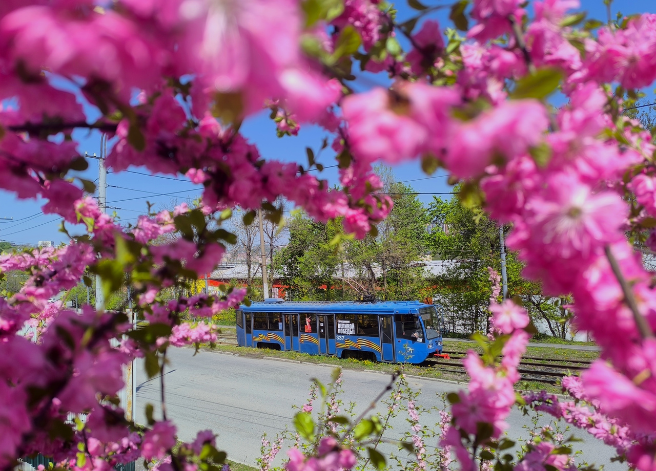 Владивосток, 71-619К № 337