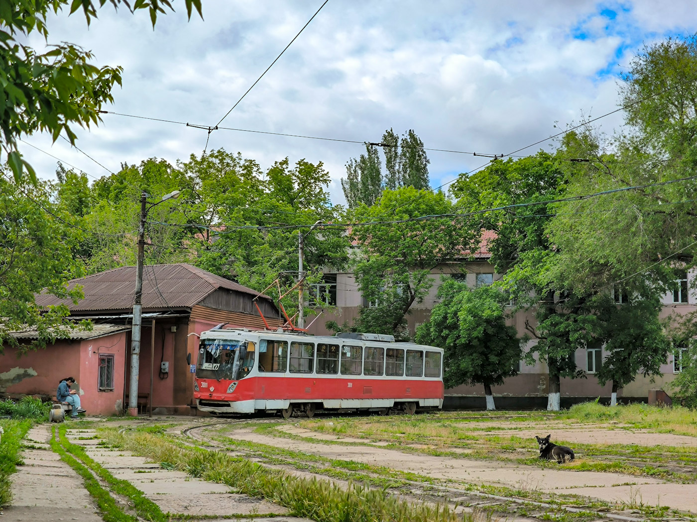 Донецк, К1 № 3011; Транспорт и животные
