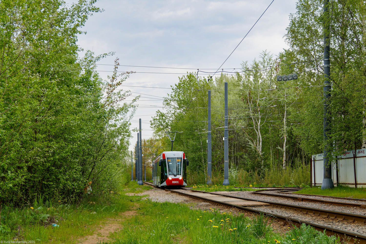 Санкт-Петербург, 71-801 (Alstom Citadis 301 CIS) № 8901; Санкт-Петербург — Конечные станции и разворотные кольца