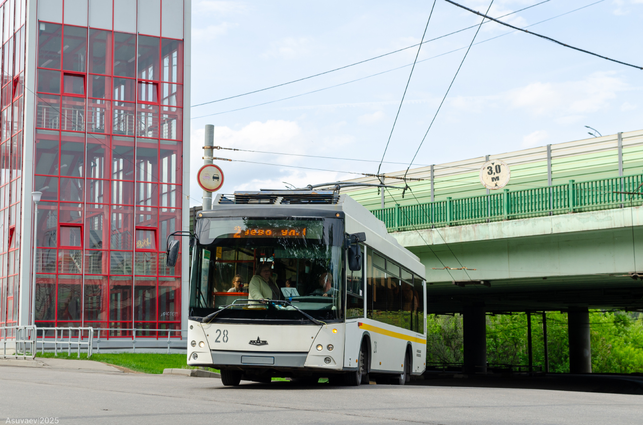 Vidnoïe, MAZ-206T N°. 28
