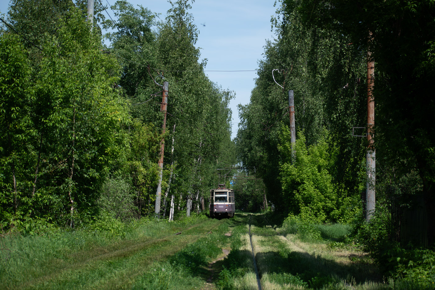 Žemutinis Naugardas — Tram lines