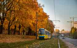 892 КБ