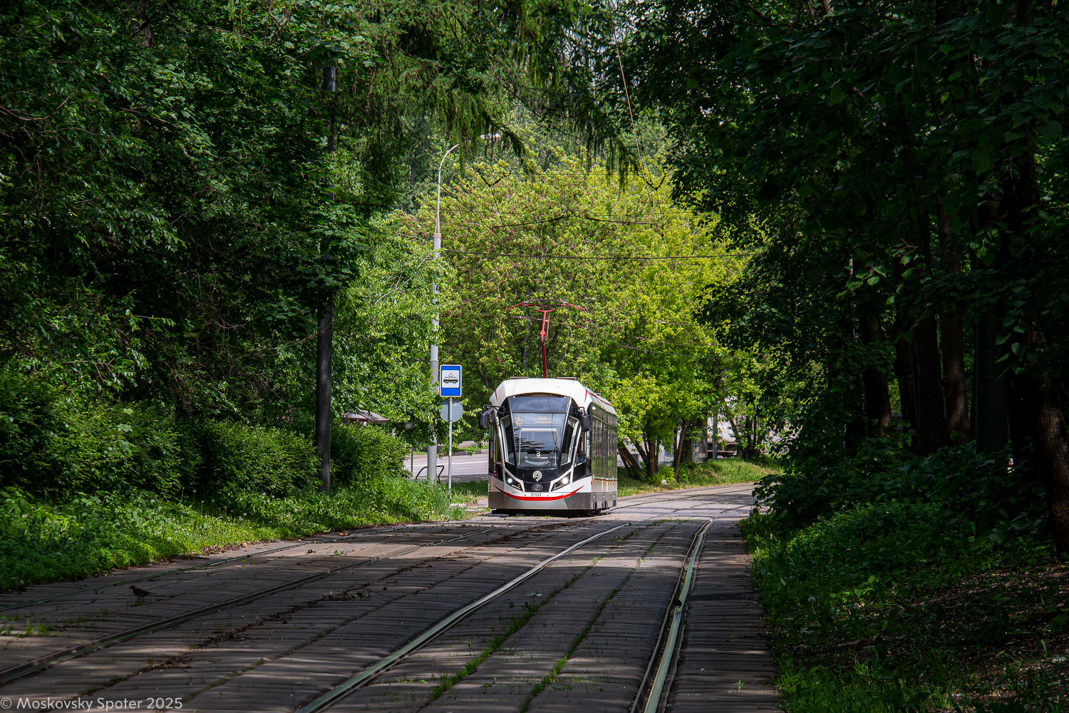 Москва, 71-931М «Витязь-М» № 31103; Москва — Трамвайные линии: ВАО