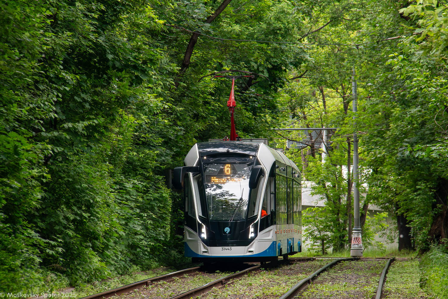 Москва, 71-931М «Витязь-М» № 31443