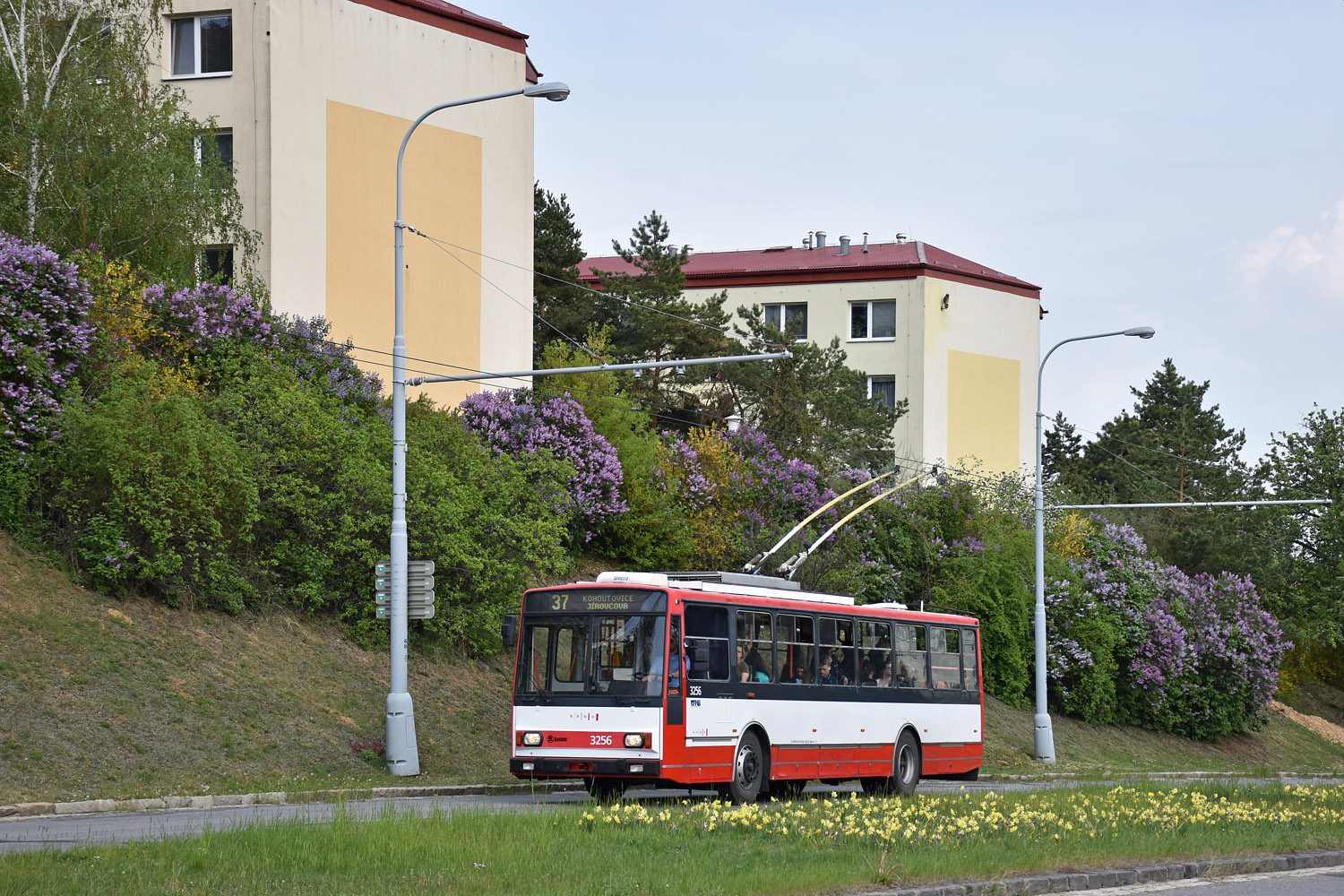 Брно, Škoda 14TrR № 3256