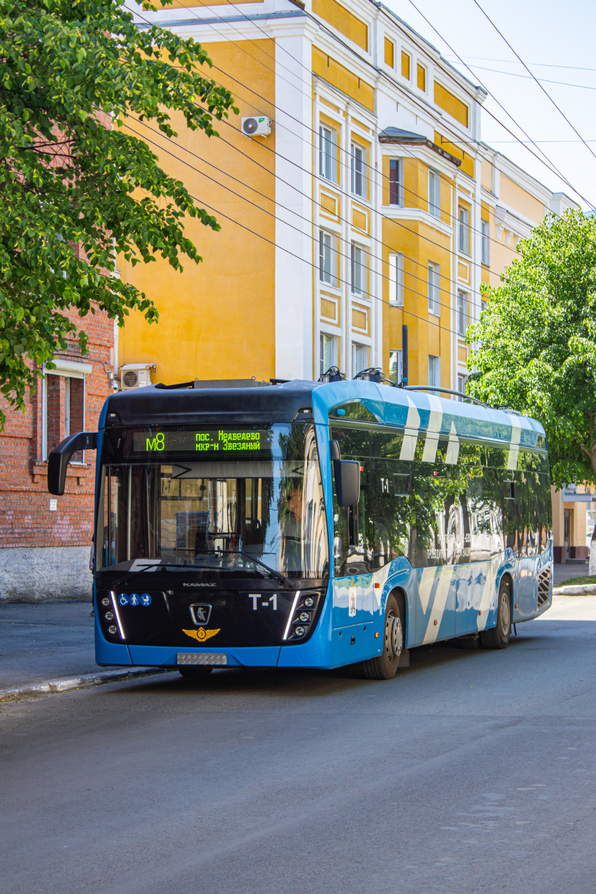 Йошкар-Ола, КАМАЗ-62825 № Т-1