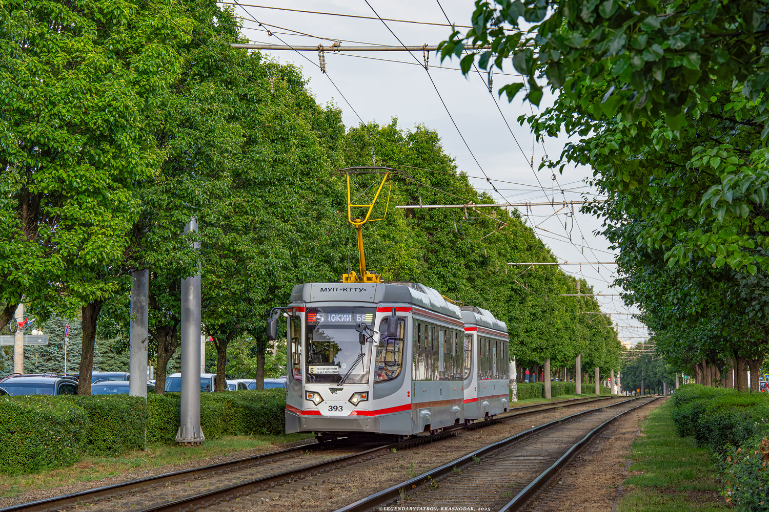 Краснодар, 71-623-04 № 393