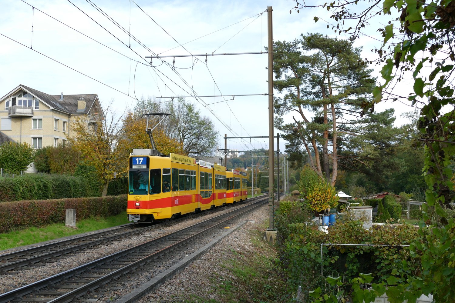 Базель, Schindler/Siemens Be 4/8 № 242