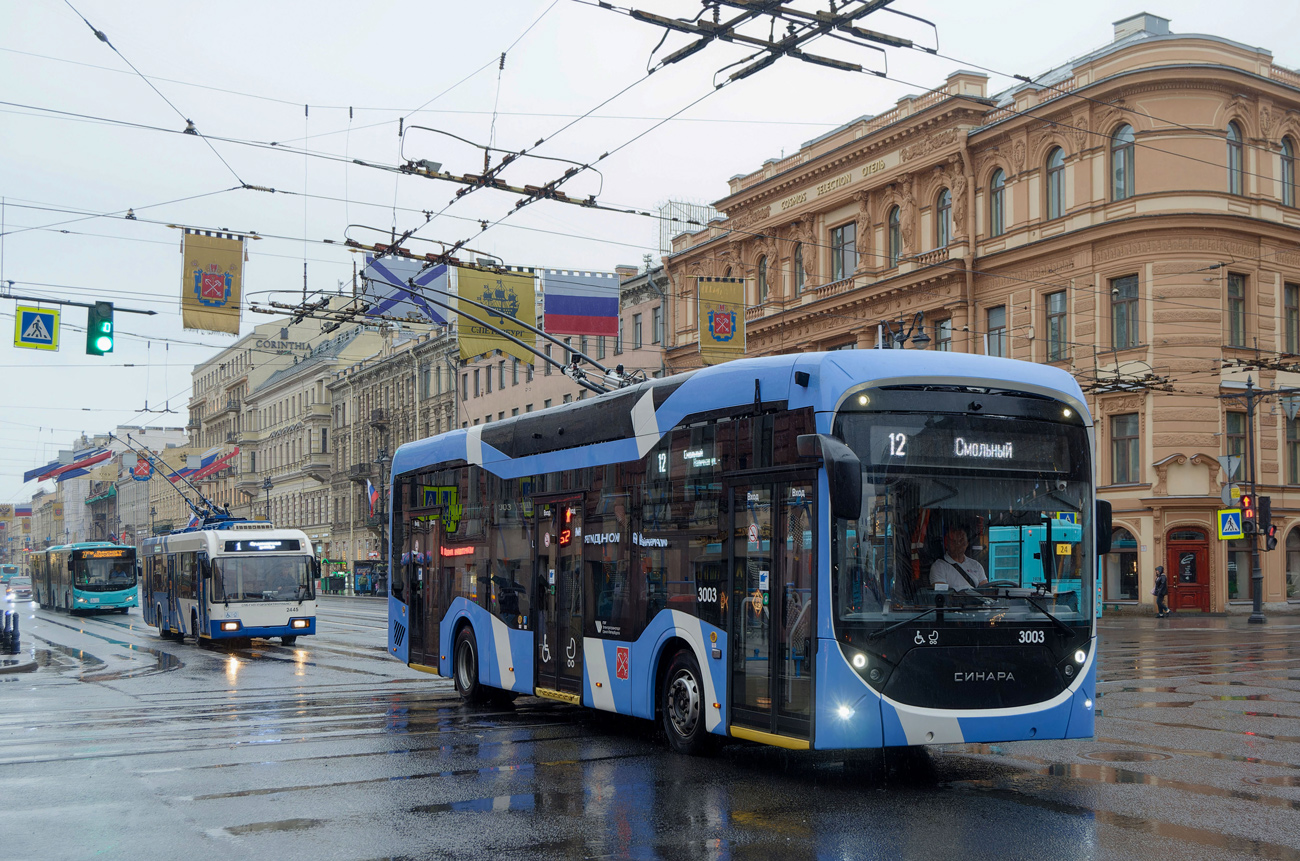 Санкт-Петербург, Синара 6254.00 № 3003