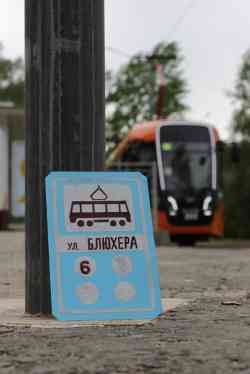 3598 КБ