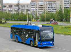7981 КБ