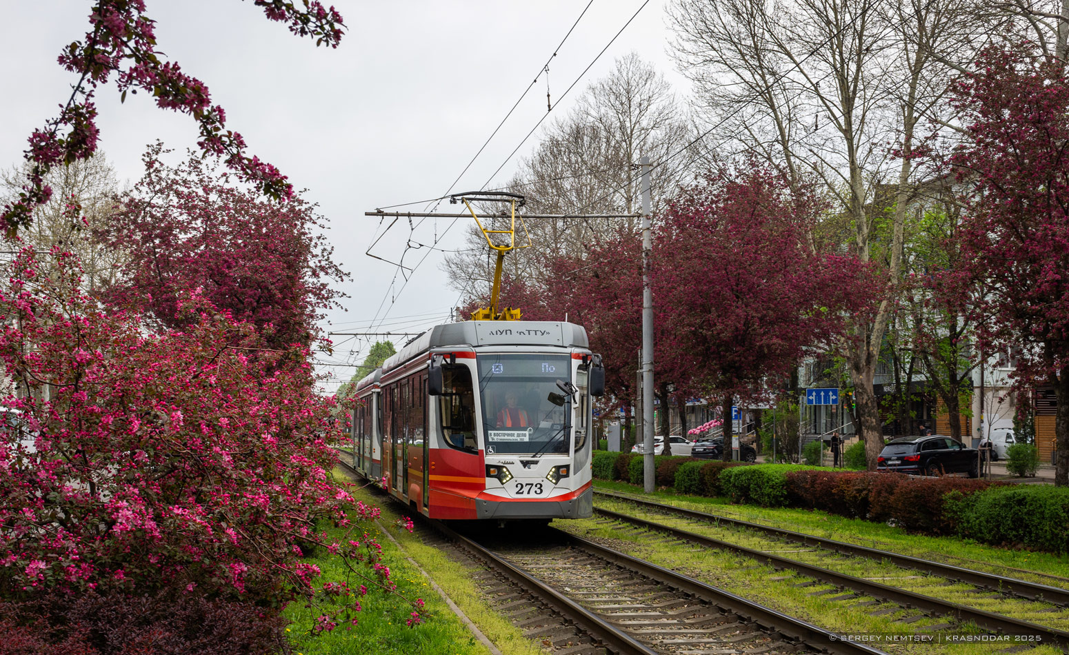 Краснодар, 71-623-04 № 273 Краснодар, 71-623-04 № 273