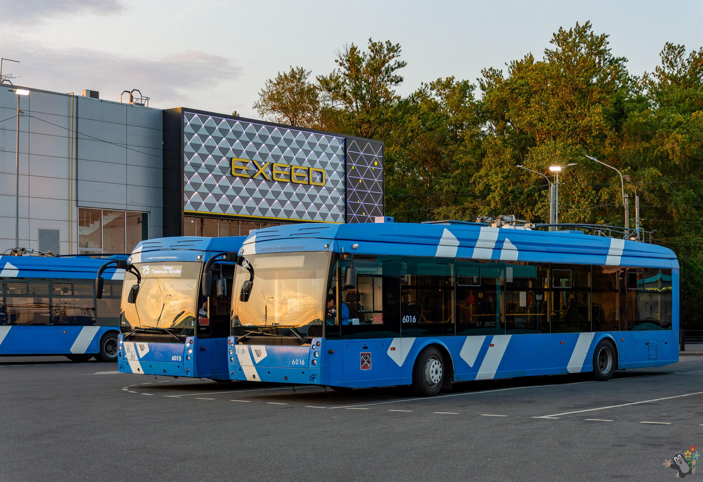 Sankt-Peterburg, Trolza-5265.08 “Megapolis” № 6016