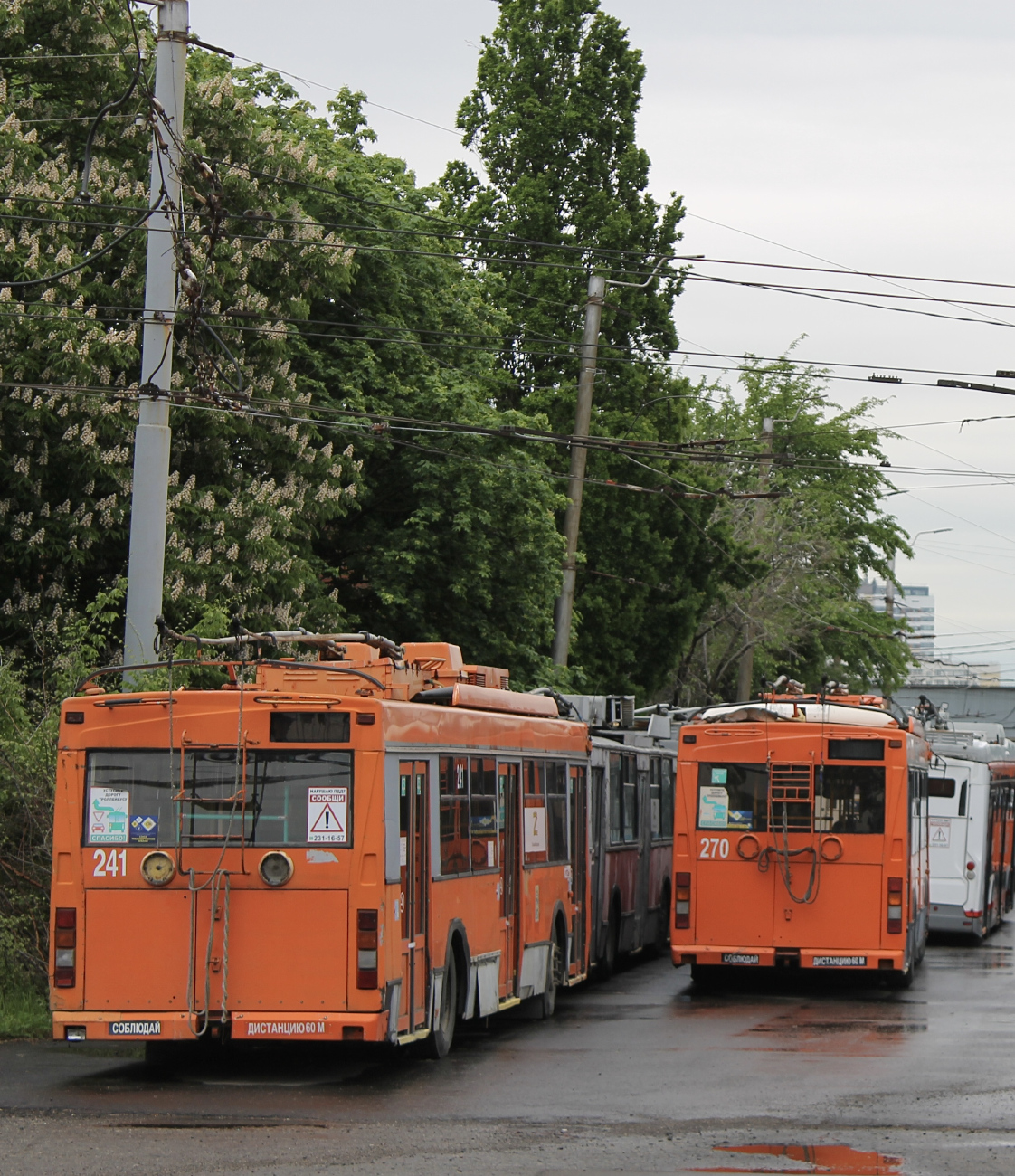Краснодар, Тролза-5275.05 «Оптима» № 241