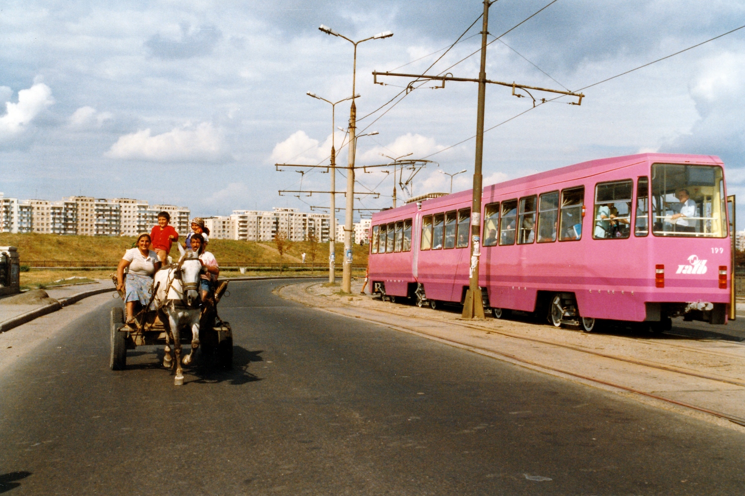 Бухарест - Илфов, ITB V3A № 199; Транспорт и животные