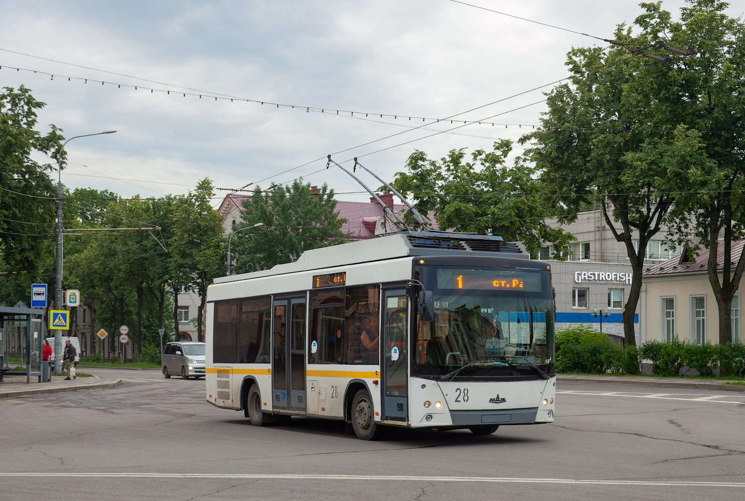 Vidnoïe, MAZ-206T N°. 28