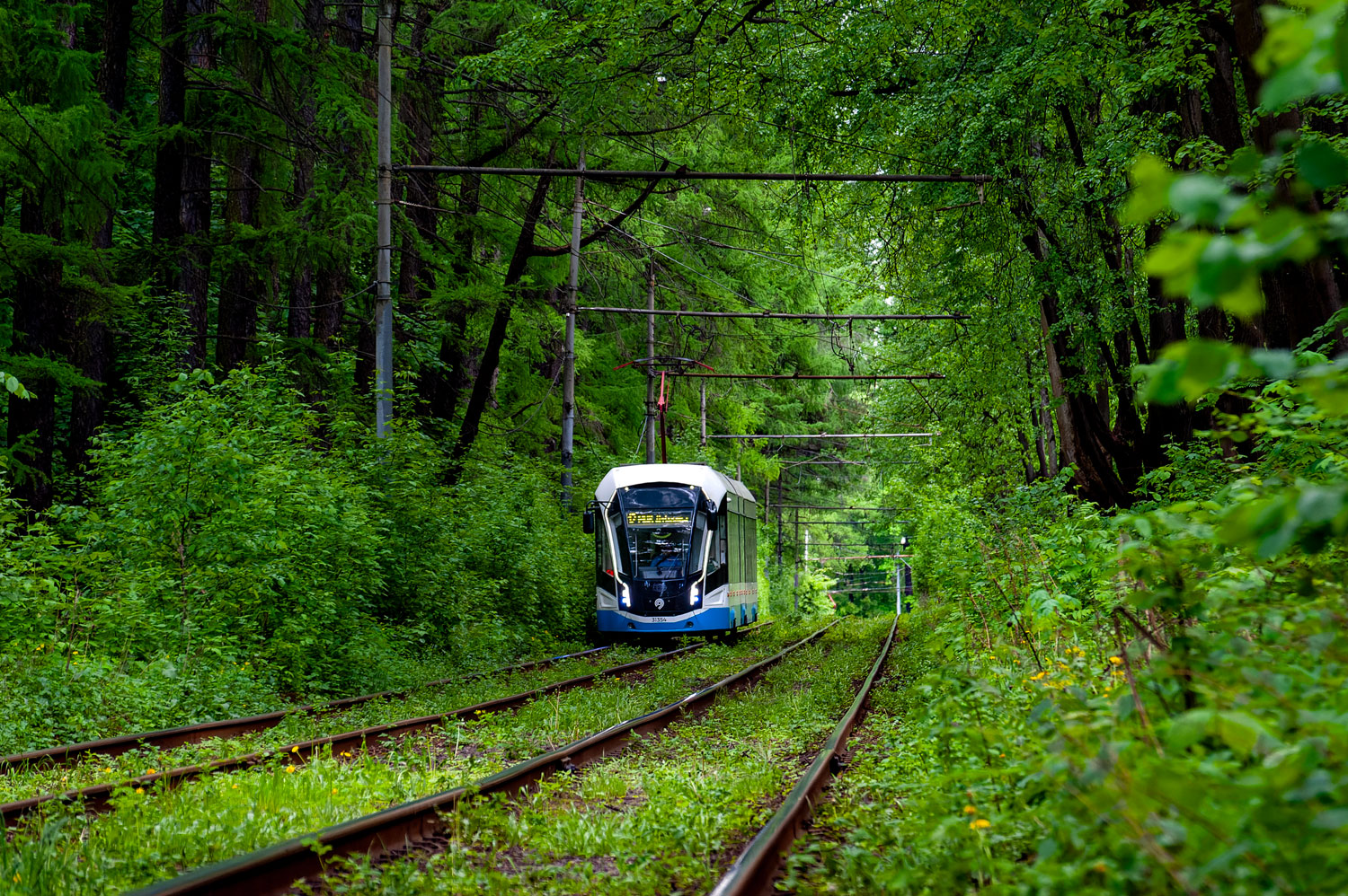 Москва, 71-931М «Витязь-М» № 31354