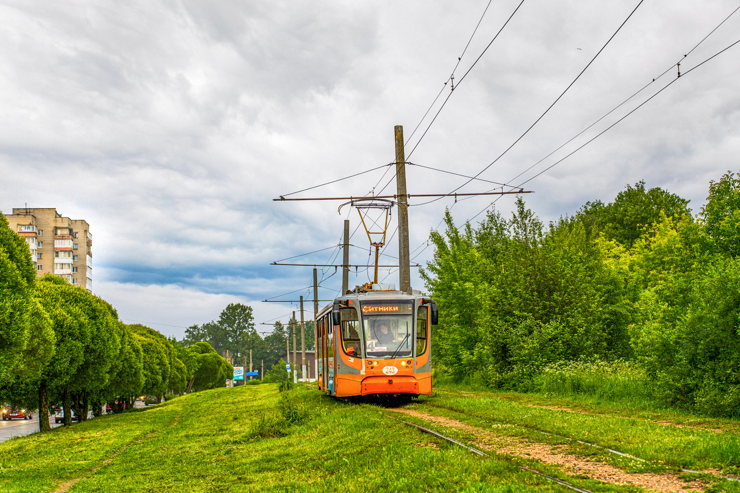 Смоленск, 71-623-01 № 243