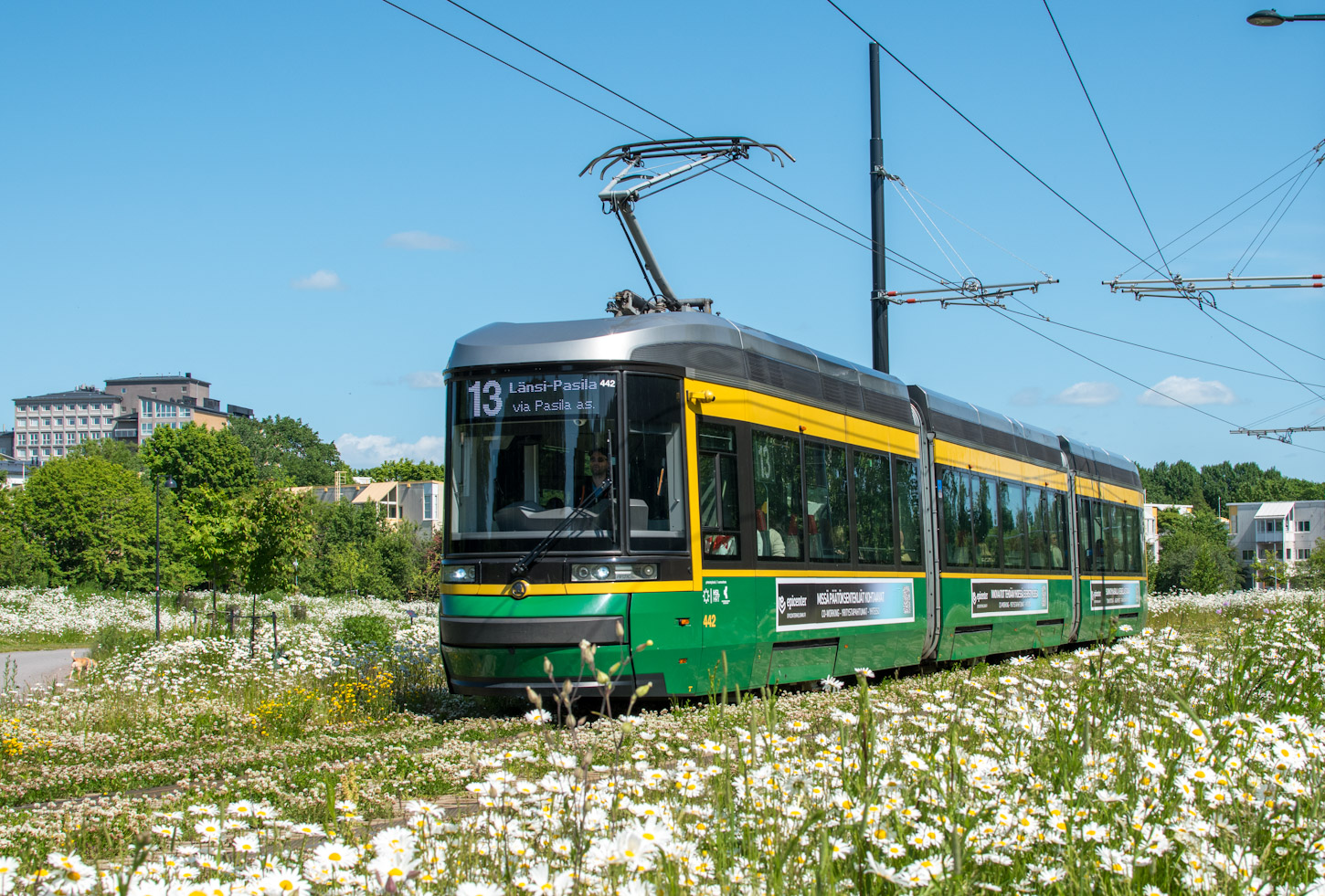 Хельсинки — Эспоо, Škoda ForCity Smart Artic MLNRV3 № 442