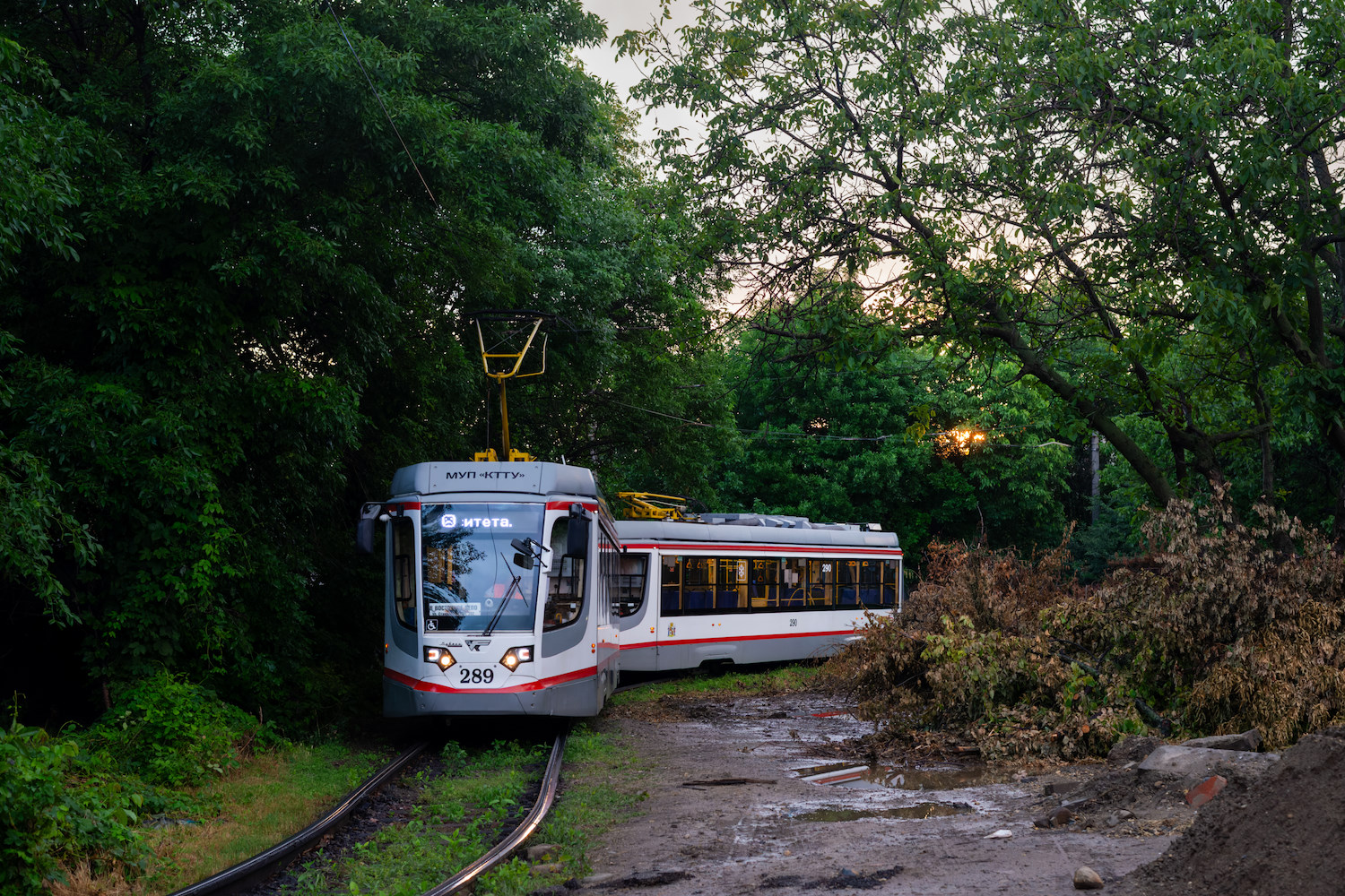 Краснодар, 71-623-04 № 289