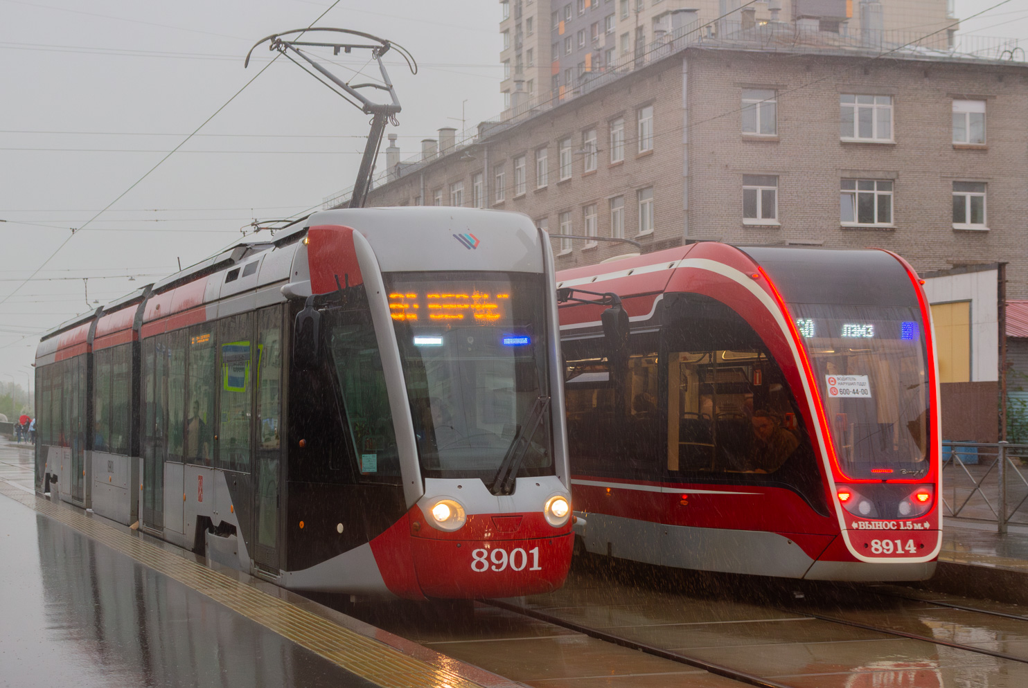 Санкт-Петербург, 71-801 (Alstom Citadis 301 CIS) № 8901
