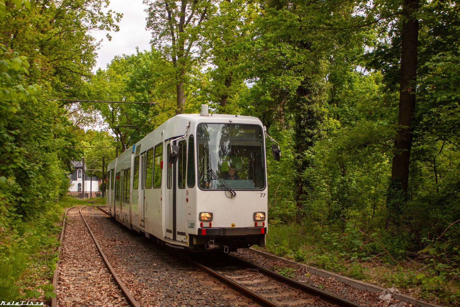 Шёнайхе – Рюдерсдорф, Duewag M6C-NF № 77