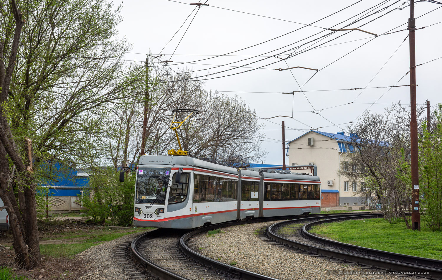 Краснодар, 71-631-03 № 202