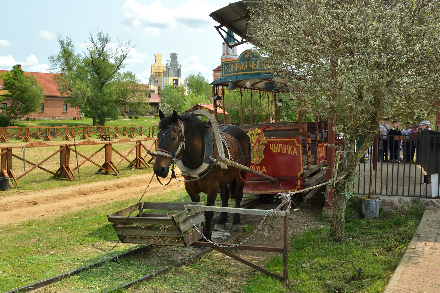 Транспорт и животные