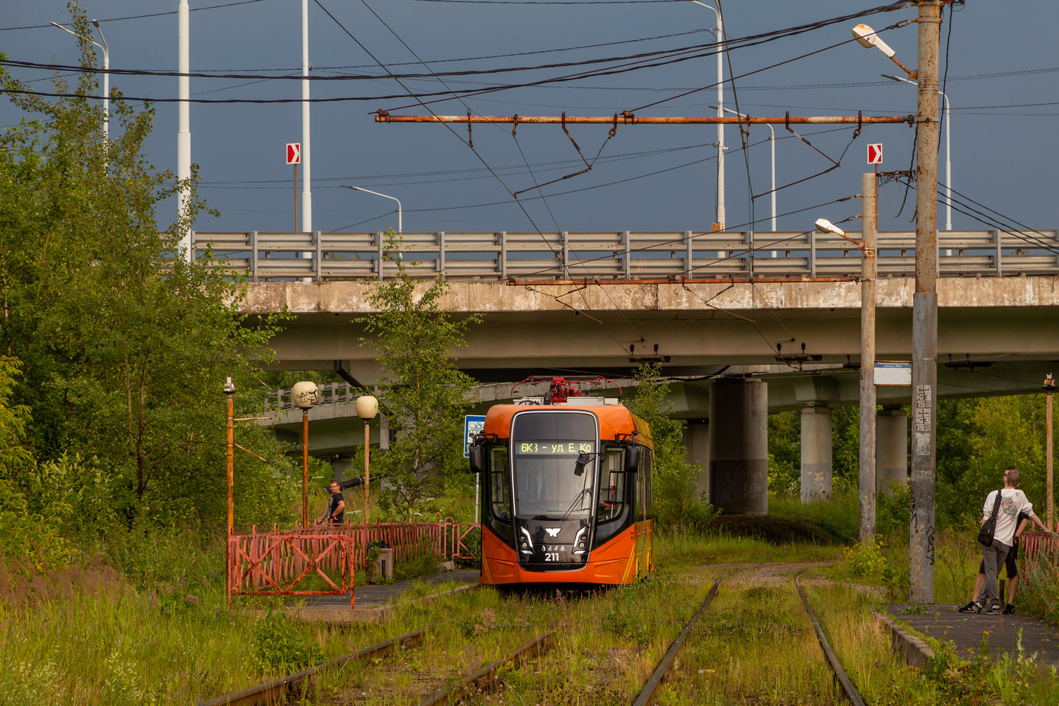 Ярославль, 71-628-02 № 211; Ярославль — 08.07.2025 Последствия урагана