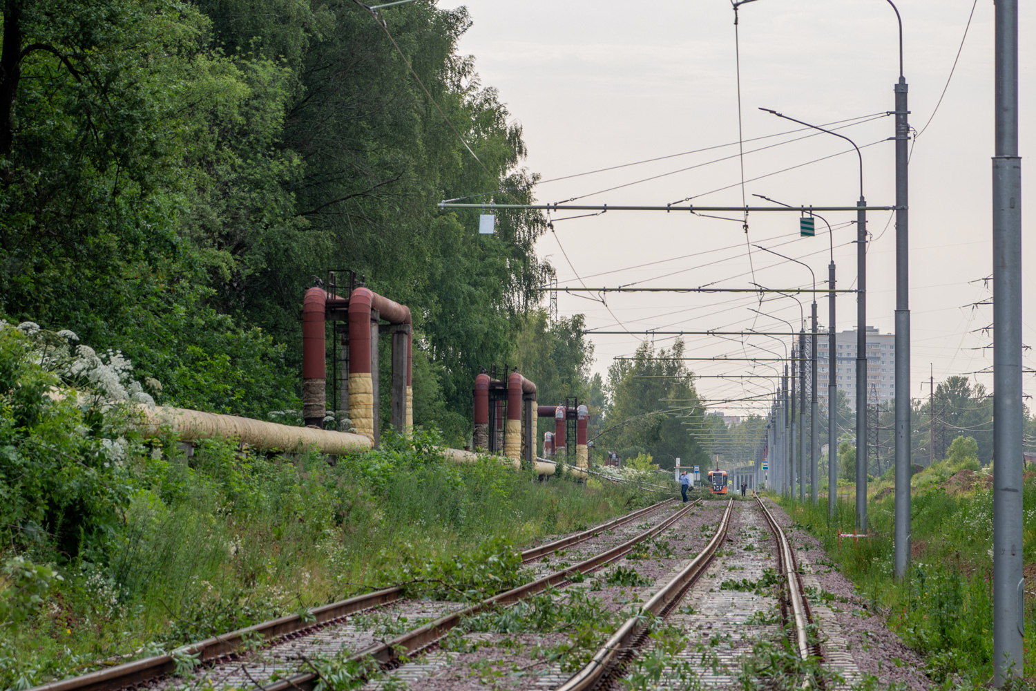 Ярославль — 08.07.2025 Последствия урагана