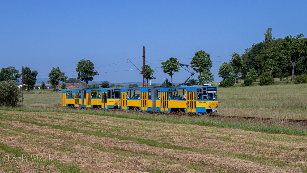Гота, Tatra KT4DC № 313